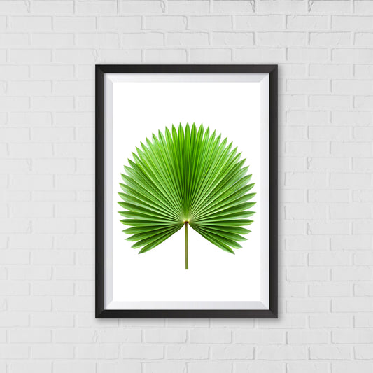 Palm Fan Majesty - Botanical Wall Art Canvas Portrait | Home Decor Wall Art