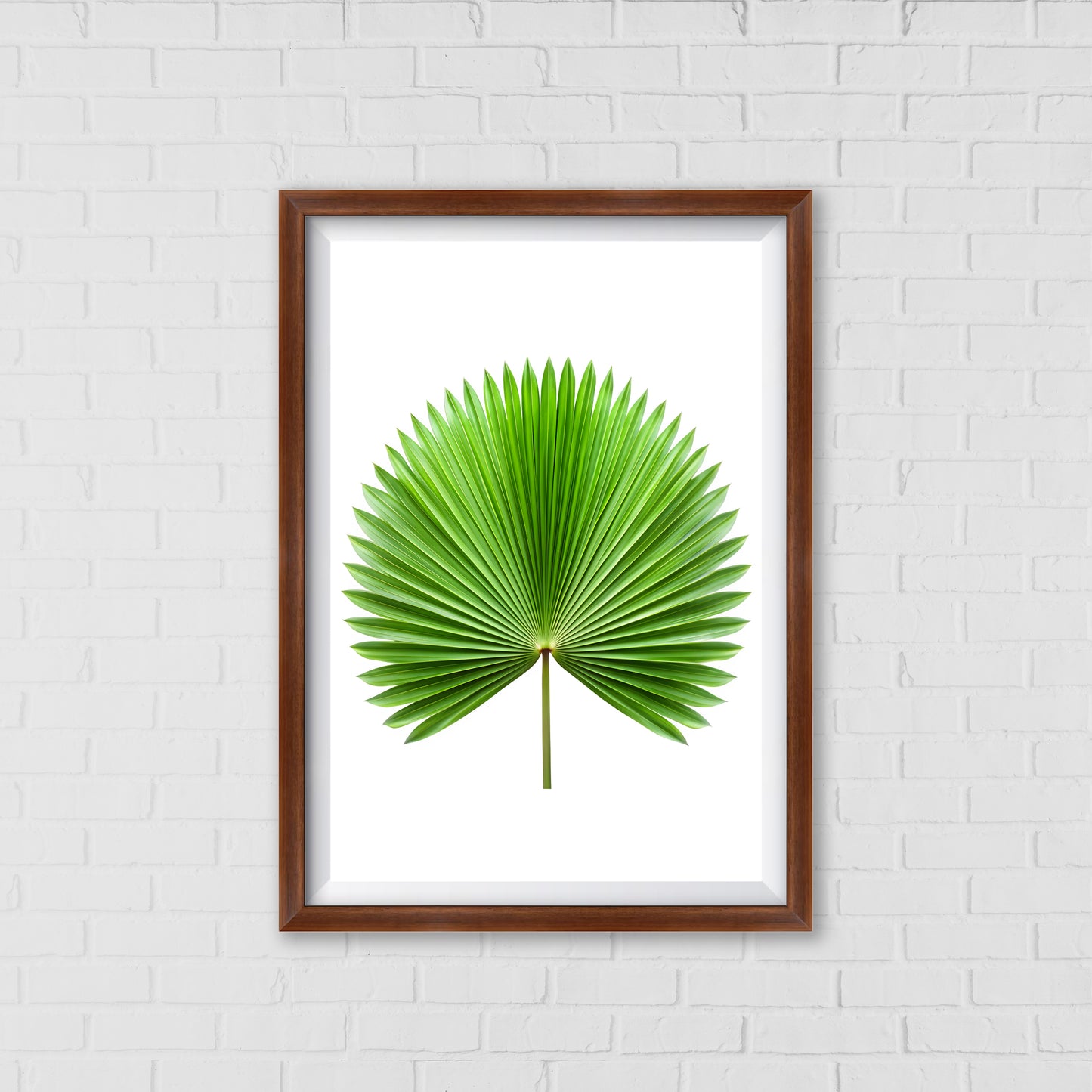 Palm Fan Majesty - Botanical Wall Art Canvas Portrait |  Home Decor Wall Art
