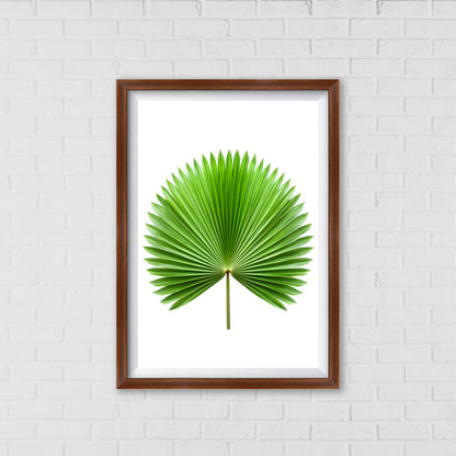 Palm Fan Majesty - Botanical Wall Art Canvas Portrait |  Home Decor Wall Art