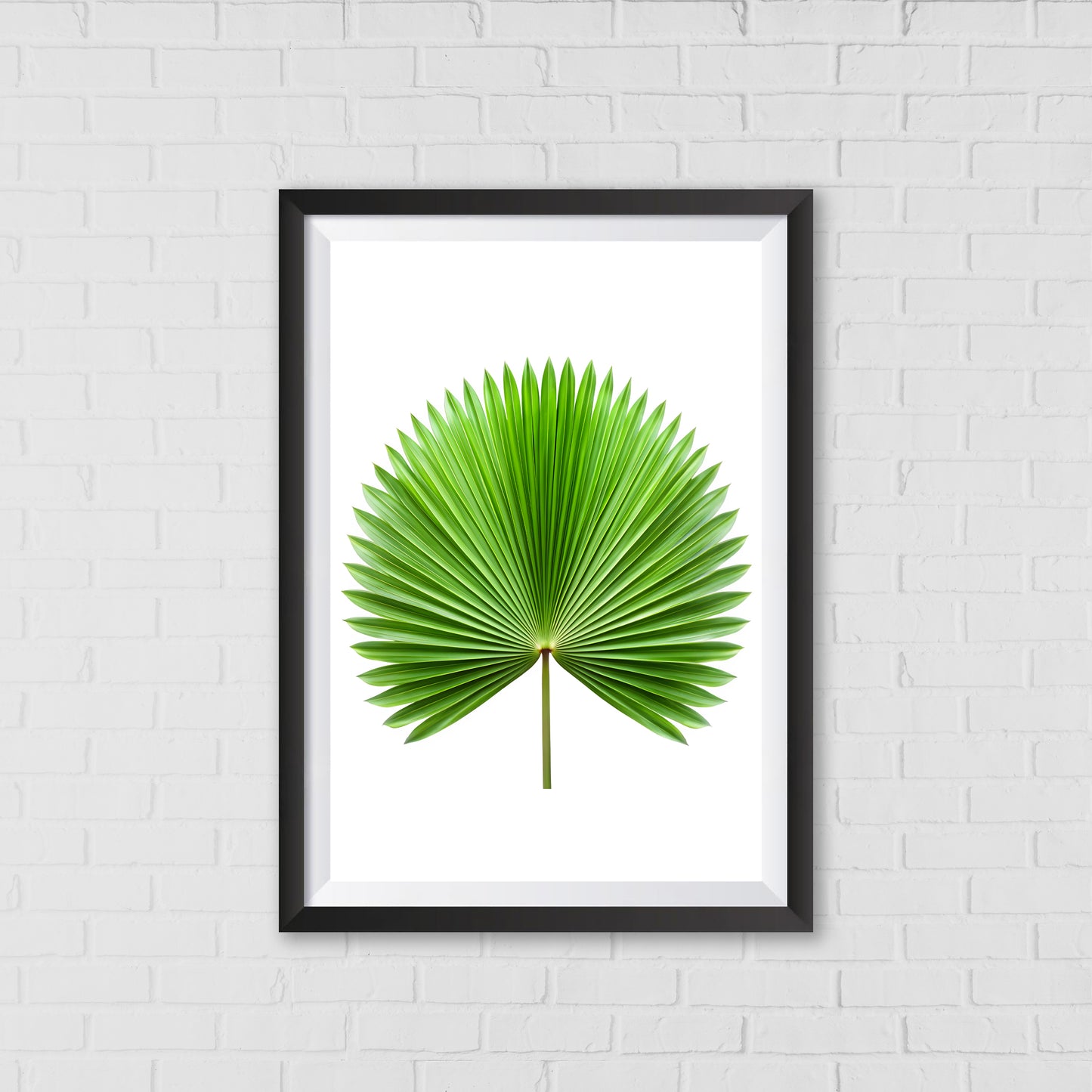 Palm Fan Majesty - Botanical Wall Art Canvas Portrait |  Home Decor Wall Art