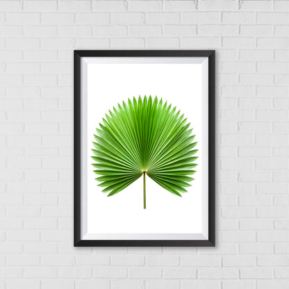 Palm Fan Majesty - Botanical Wall Art Canvas Portrait |  Home Decor Wall Art