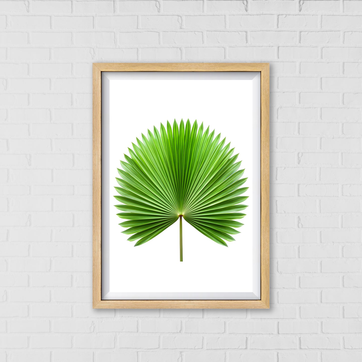 Palm Fan Majesty - Botanical Wall Art Canvas Portrait |  Home Decor Wall Art
