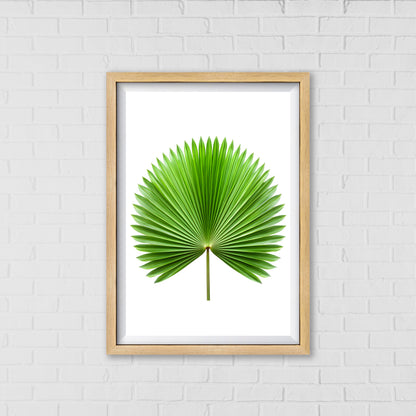 Palm Fan Majesty - Botanical Wall Art Canvas Portrait |  Home Decor Wall Art